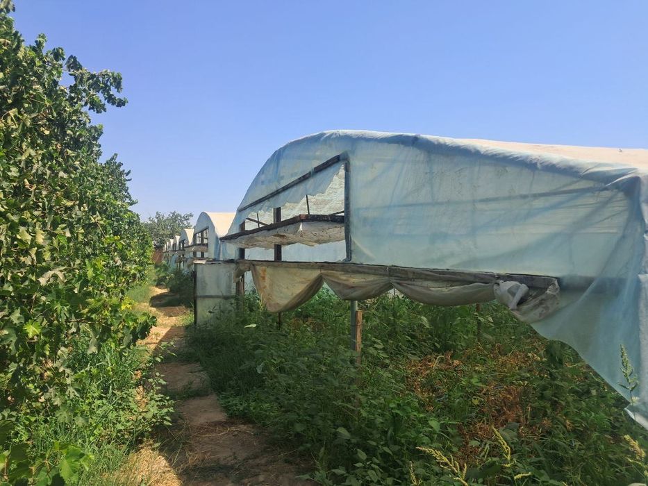 Янгиюл тумани ферма сотилади