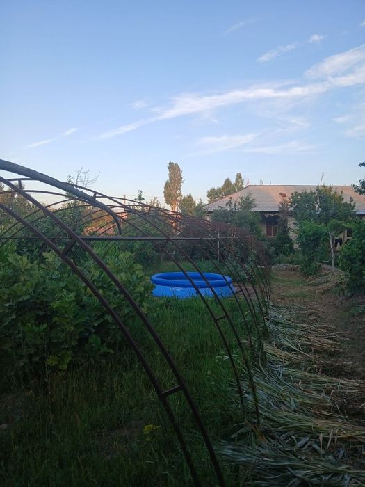 Parnik sotiladi 20×5 metr