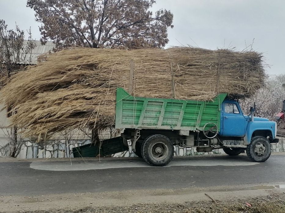 Qamishlar sotiladi narxi kelishiladi