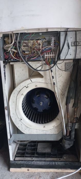 Kabditsaner soz xolda