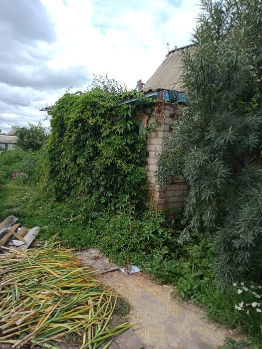 Продам дачу  село белое