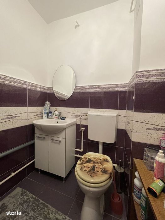 Apartament 3 camere CETATE