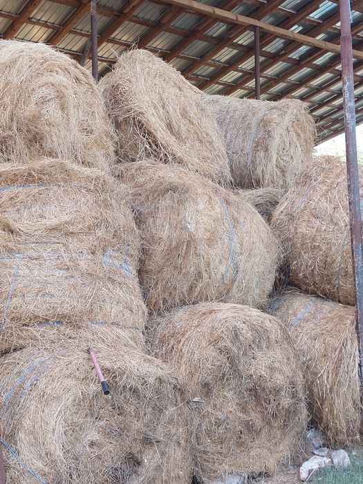 Vând  baloti de fan