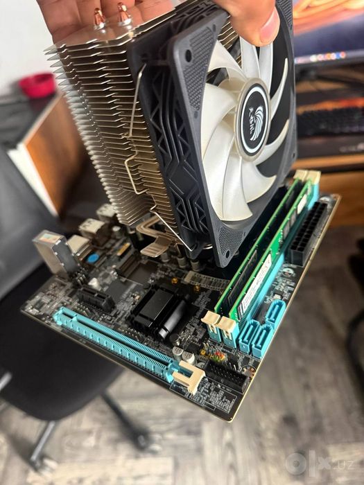 H61 va h81 bor optom narxda