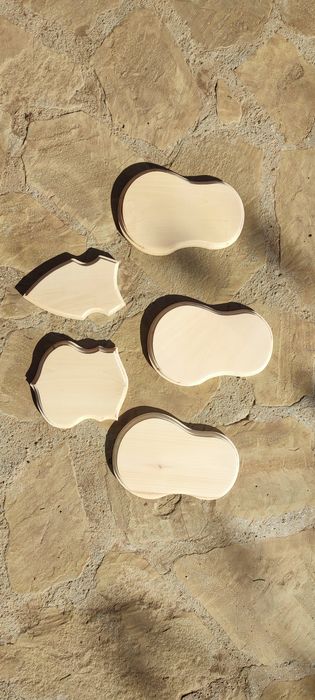 Поставки за ловни трофеи