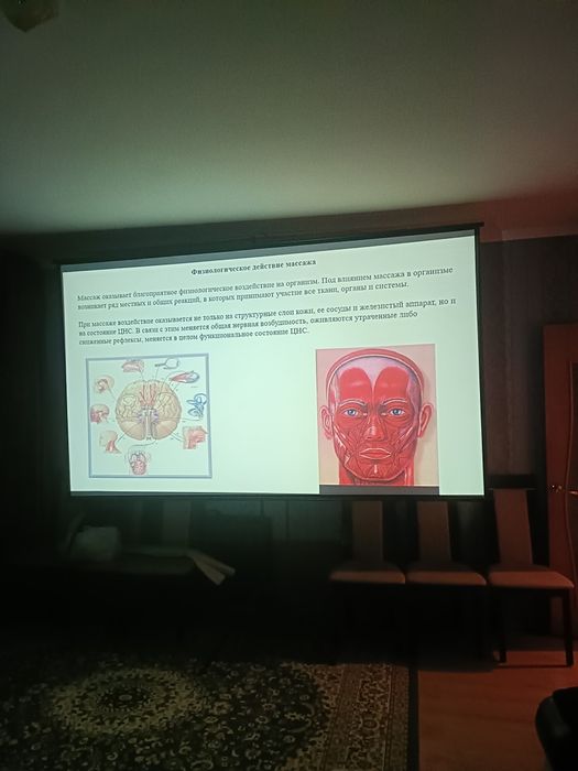 Аренда проф.проектора Epson 120дюймов 3500lm