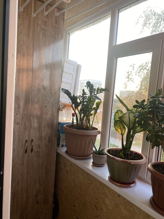 Продам или обмен на 3 комн