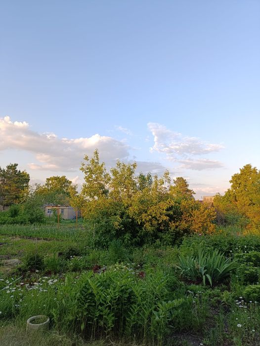 Дача автомобилист