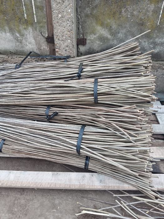 De vânzare arcade tunel