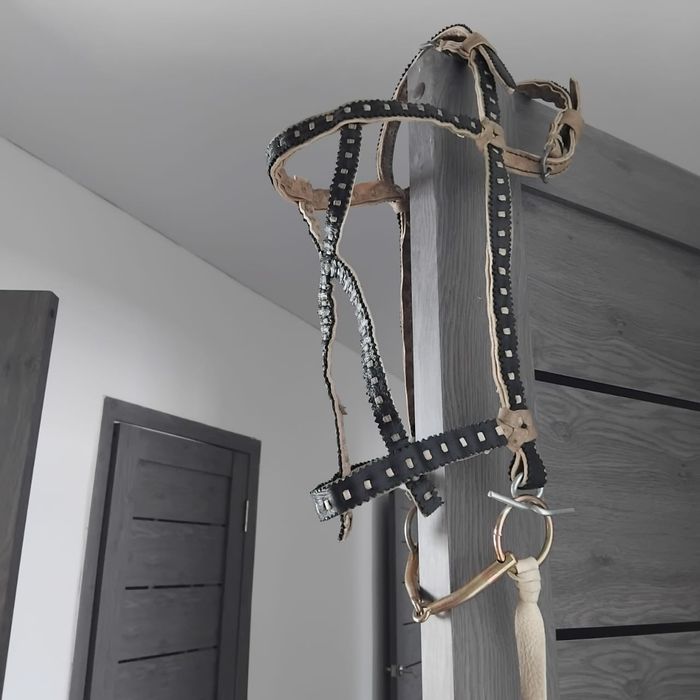 Жүген сатам . Продам уздечку