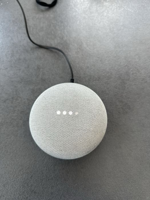 Google home nest mini