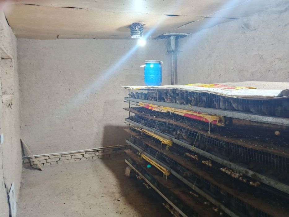 Bedana qafas sotiladi 1000 ta bedanaga mo'ljallangan