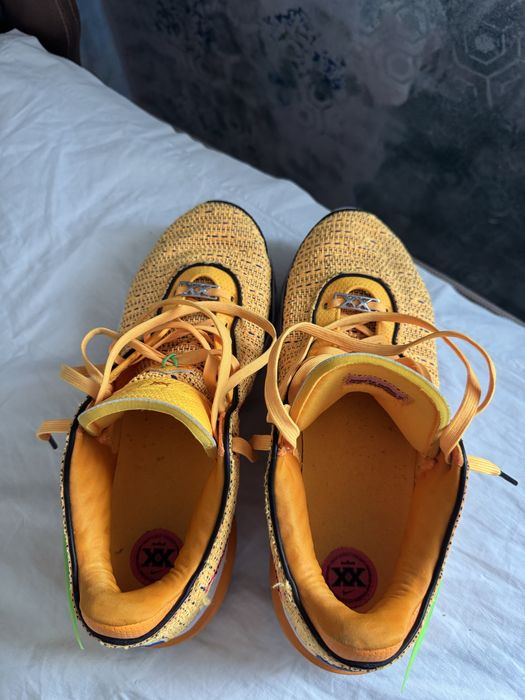 Nike Lebron 20 James Gang