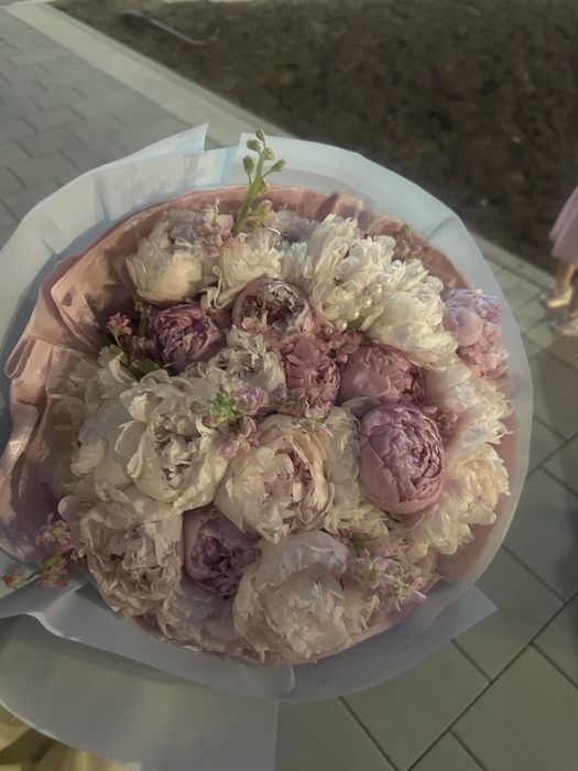 Пионы букет за 10-15 тысяч тг