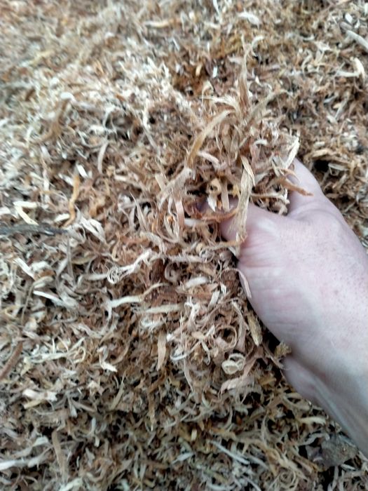 Опилка под бензопилы