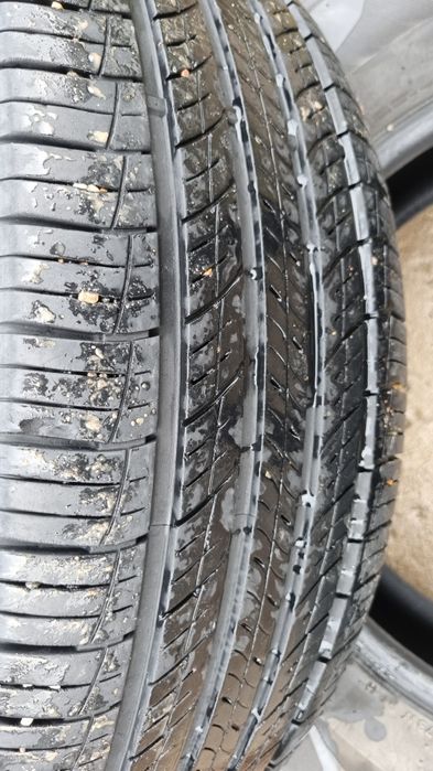 Продам ризина отличном состоянии