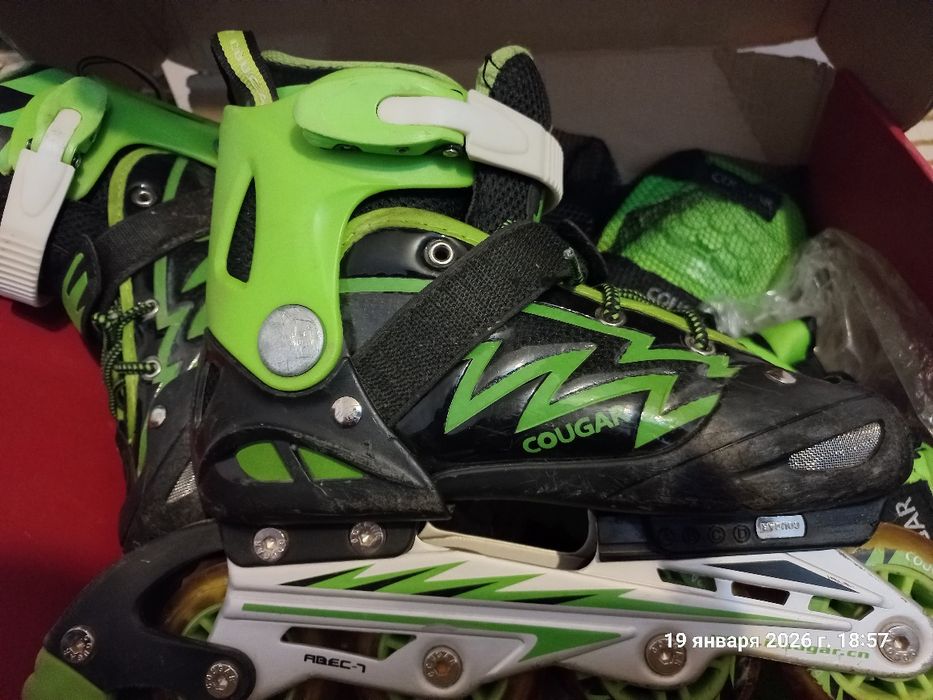 Ролики COUGAR б/у  размер 34-37