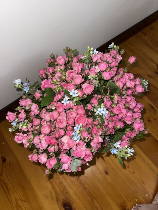 Свежие белые голлагдские розы 101
