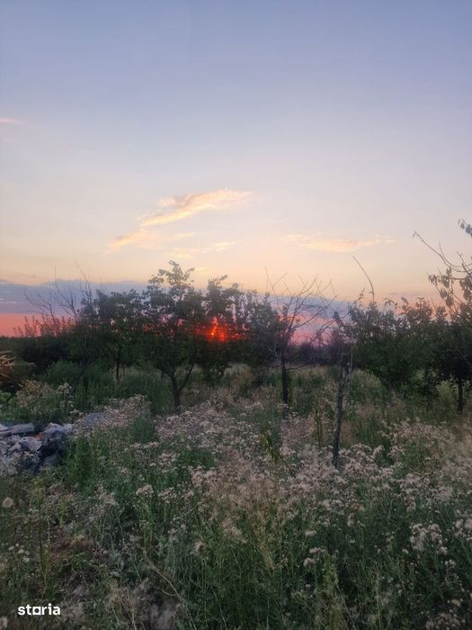 Teren Intravilan De Vânzare – Robănești, Dolj | 5.000 Mp
