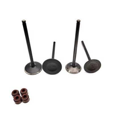 Distributie (patina, lant, supapa) CF Moto  450 400 520  550 600  625 800 1000