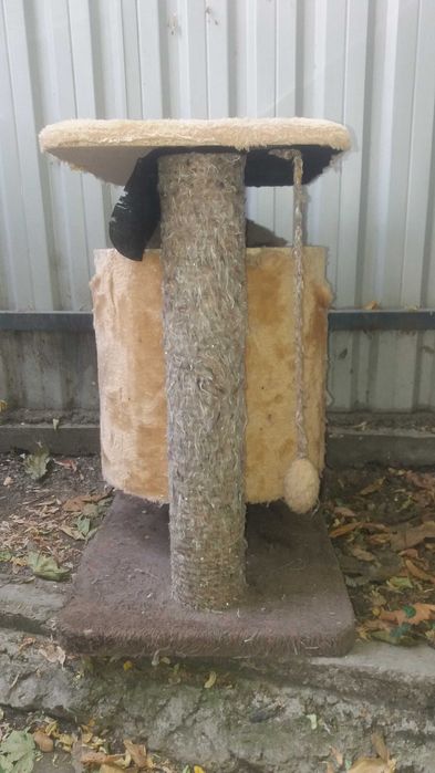 Кошкин дом Mushuk uyi дом для кошки Доставка