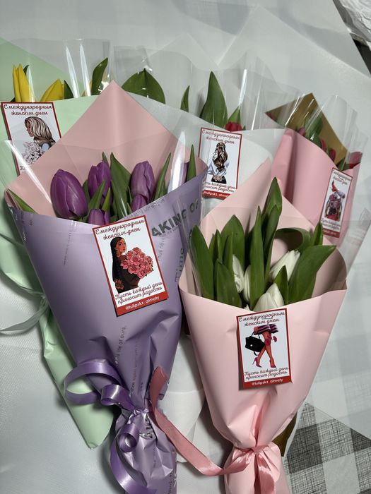 Открыт предзаказ тюльпанов