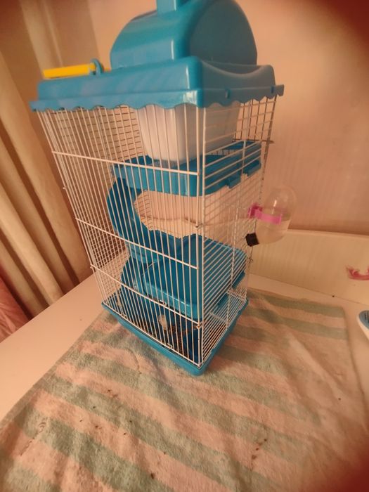 Продам хомяка с клеткой
