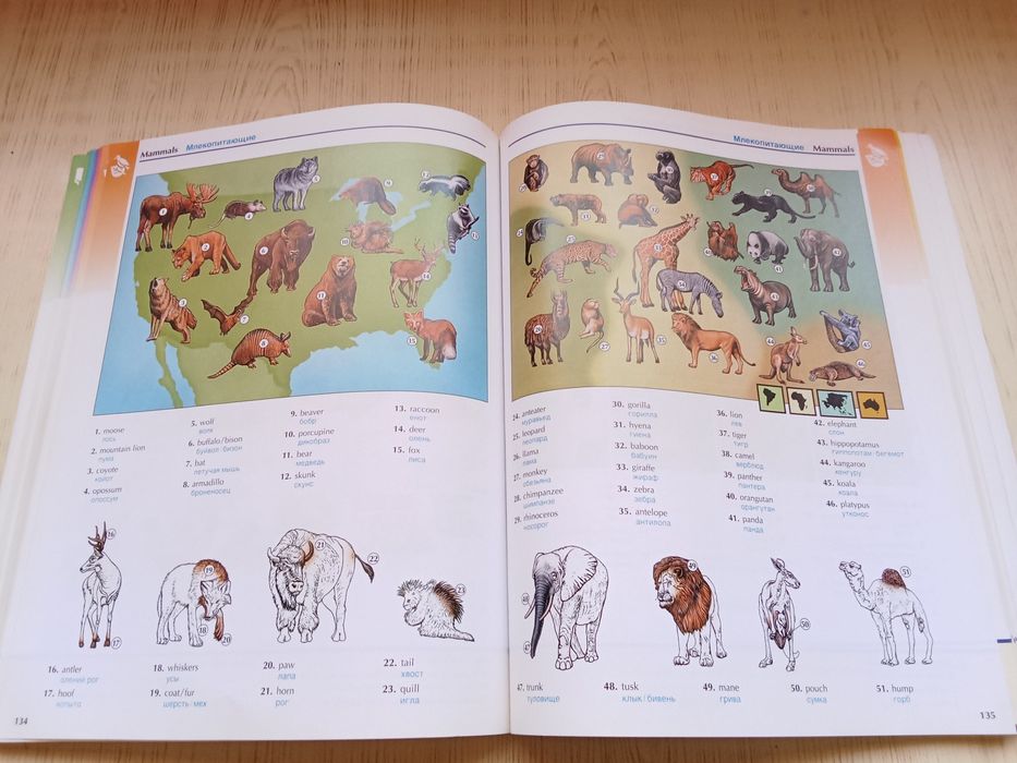 Словарь The Oxford picture dictionary