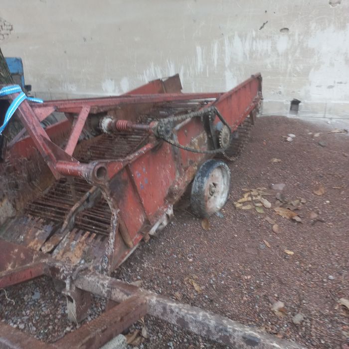 Kartoshka kólidigan sotiladi