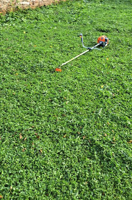 Косене на тревни площи и транспортни услуги