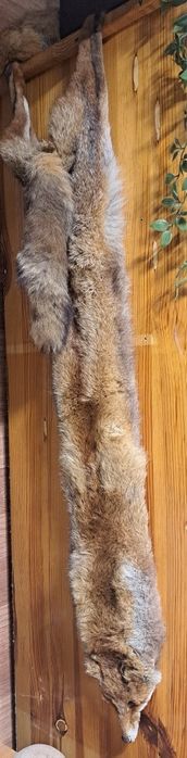 Лисица естествена/яка лисица