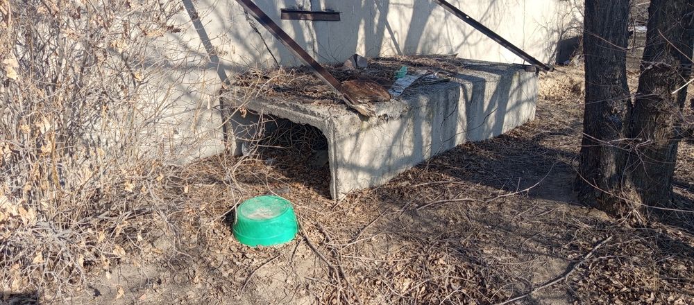 Продам бетонные плиты