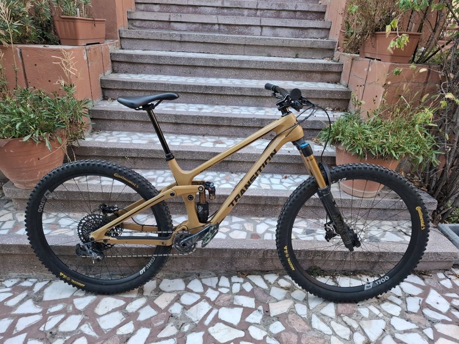 Transition Sentinel Carbon