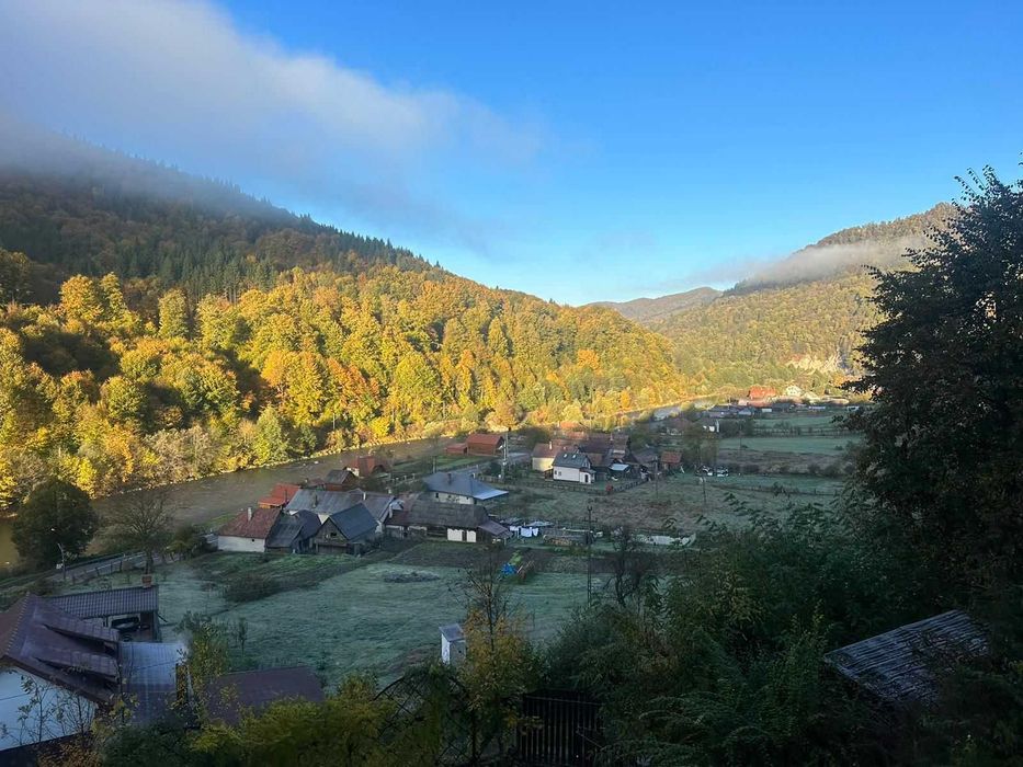 Casa lui Gruia, cabana