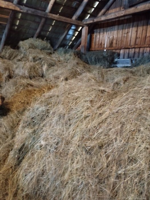 Vând baloți și fân