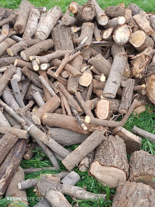 O'tinla bor sotiladi