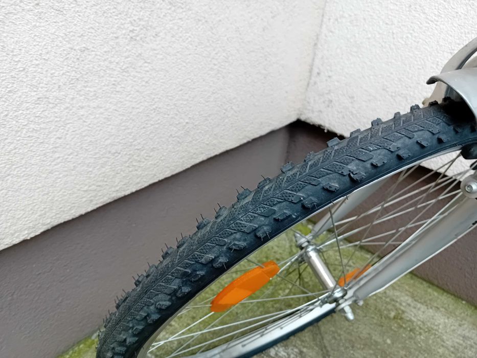 Bicicleta barbateasca