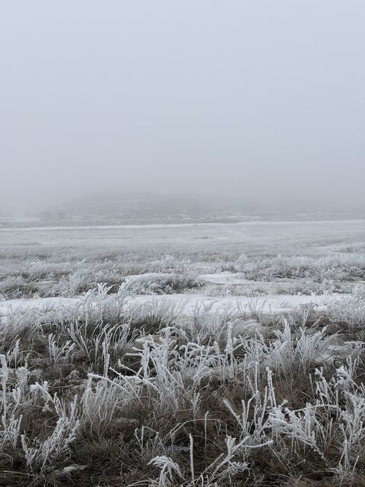Продам землю 2 гектара в Аршалы