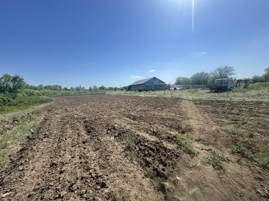 Продам крестьянское хозяйство в городе