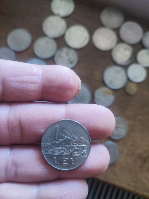 Bani de colecție/ nu se doneza