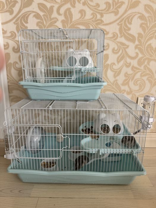 Продам 2 хомяка 1 девочка 1 мальчик