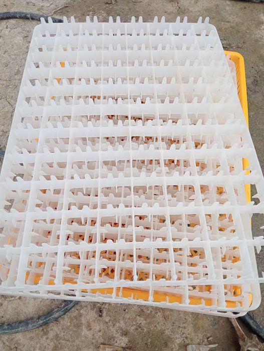 Инкубатор сатылады