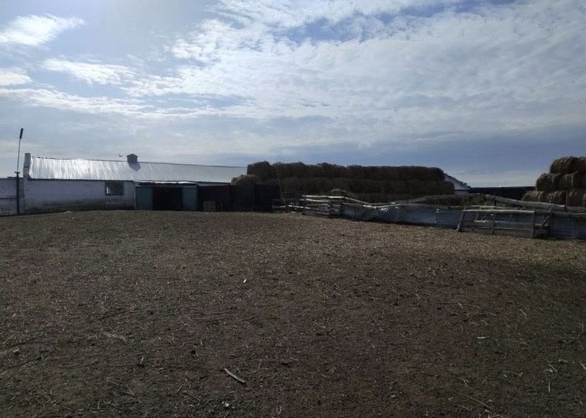 Действующее фермерское хозяйство