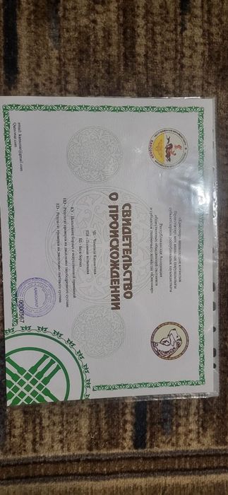 Продам щенков Русская Пегая Гончая