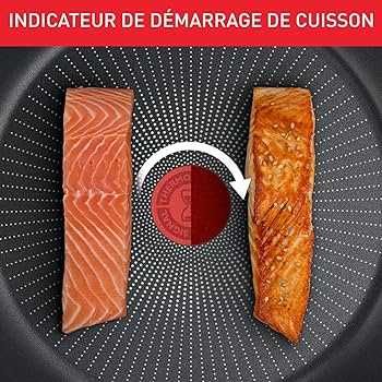 Oala TEFAL Daily Expert 24 cm 4.7 litri Rosu in cutie sigilata noua