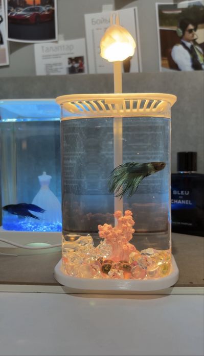 MOON & FISH  Аквариумы + рибки