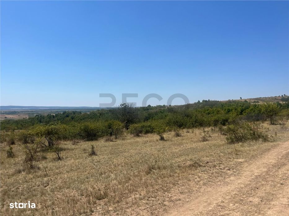 RECO Teren extravilan Holod 27400 mp