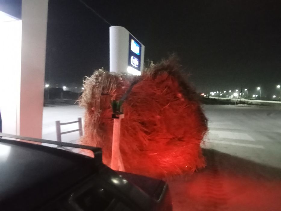 Прицеп платформа