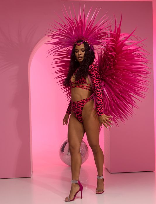 Ангелски крила различни модели