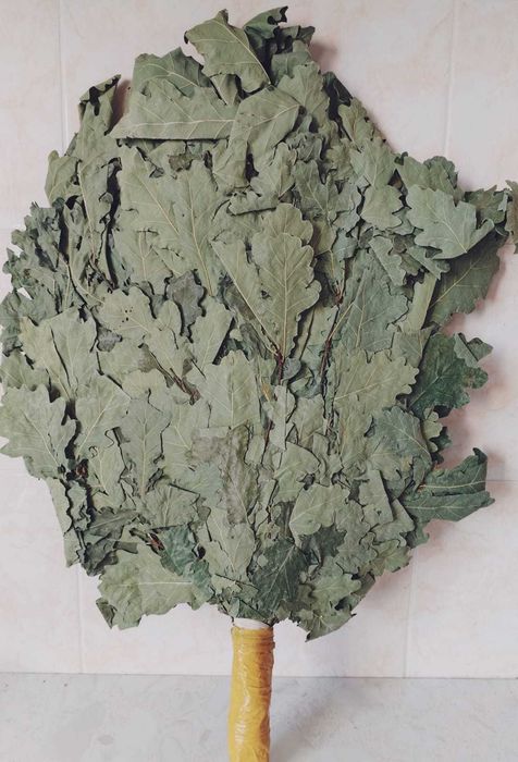 Дубовые веники для бани